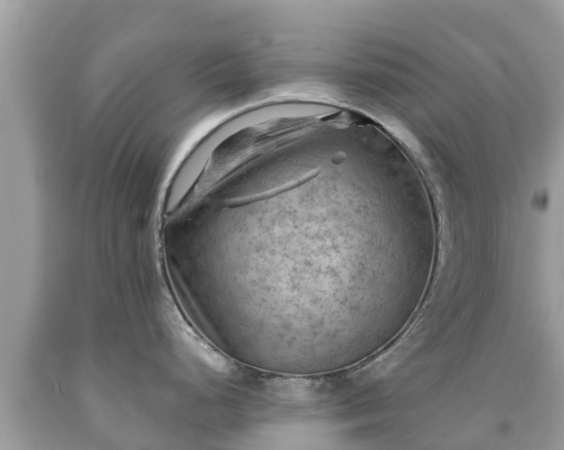 X0000092001248200709131508