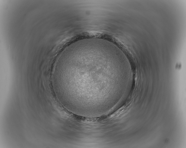 X0000092001249200709131507