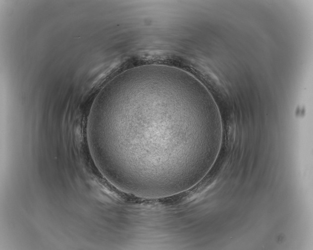 X0000092001250200709131507