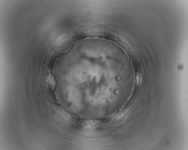 X0000092001251200709131507