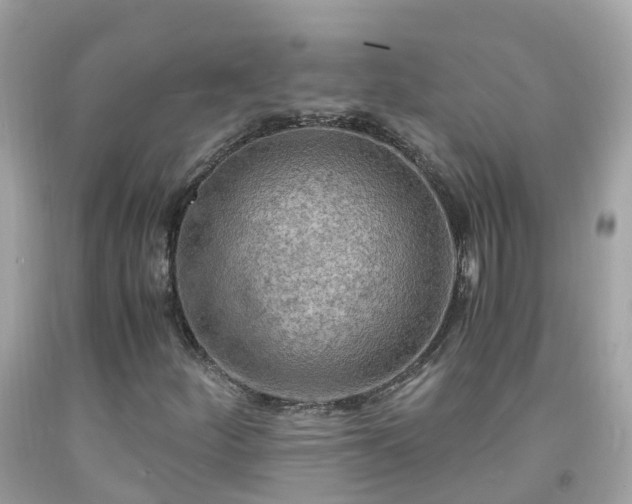 X0000092001252200709131507