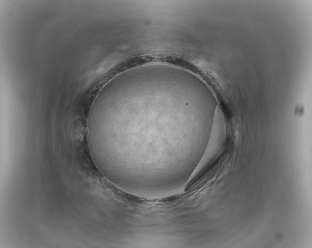 X0000092001253200709131507