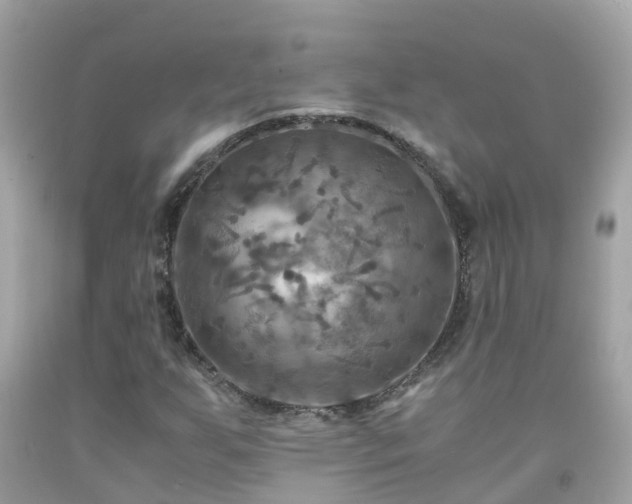 X0000092001255200709131507