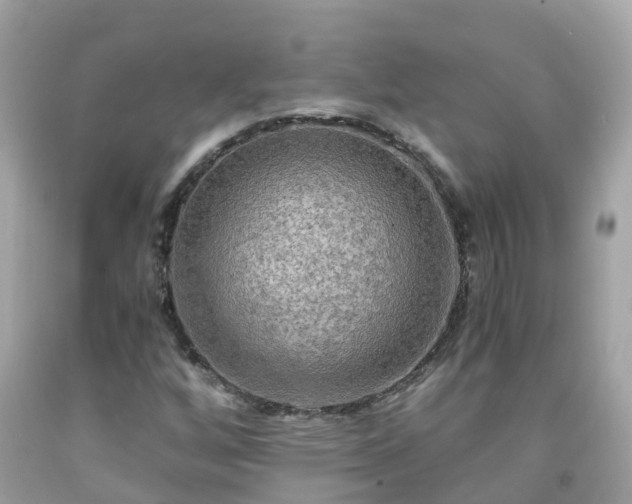 X0000092001256200709131507