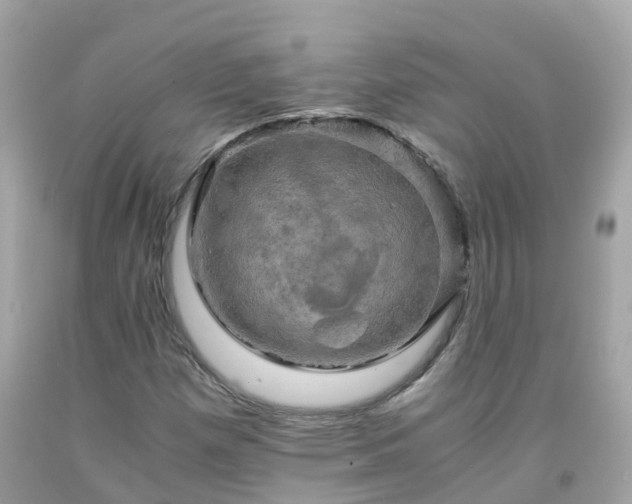 X0000092001257200709131507