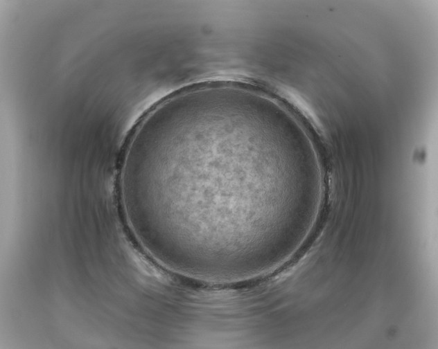 X0000092001260200709131507