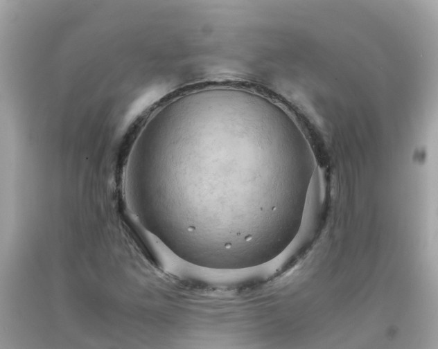 X0000092001261200709131507