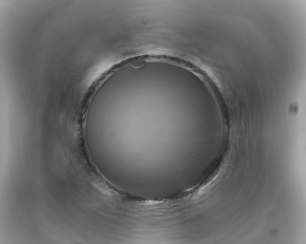 X0000092001263200709131507