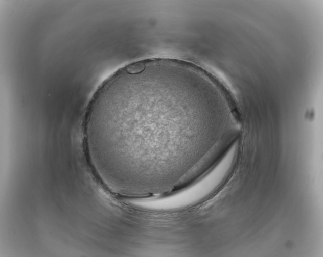 X0000092001264200709131507