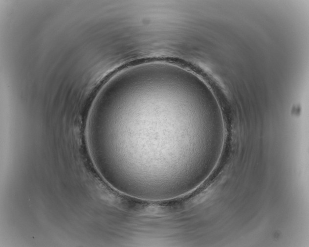 X0000092001265200709131507