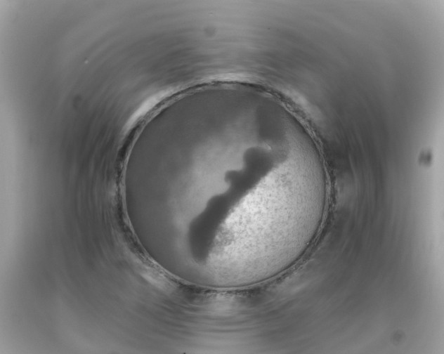 X0000092001266200709131507