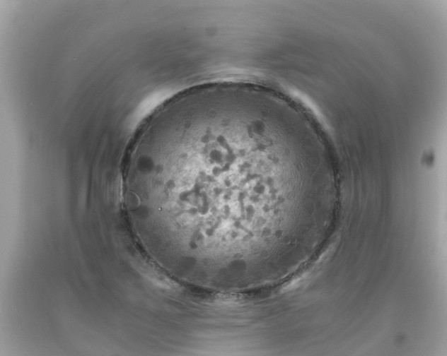 X0000092001267200709131507