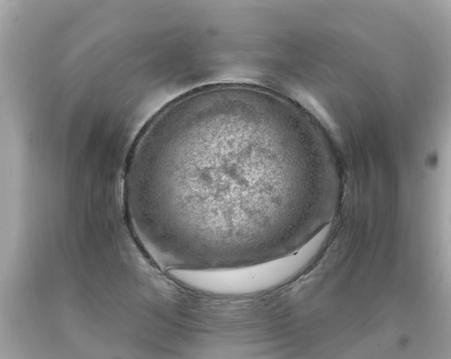 X0000092001268200709131507