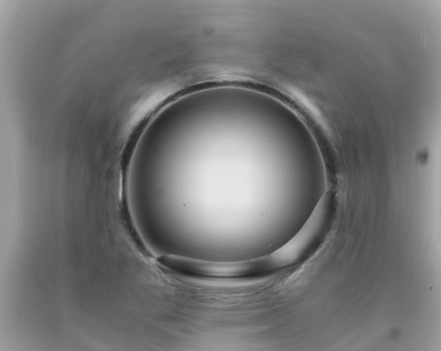 X0000092001269200709131507