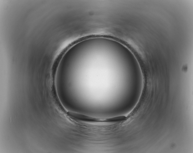 X0000092001270200709131507