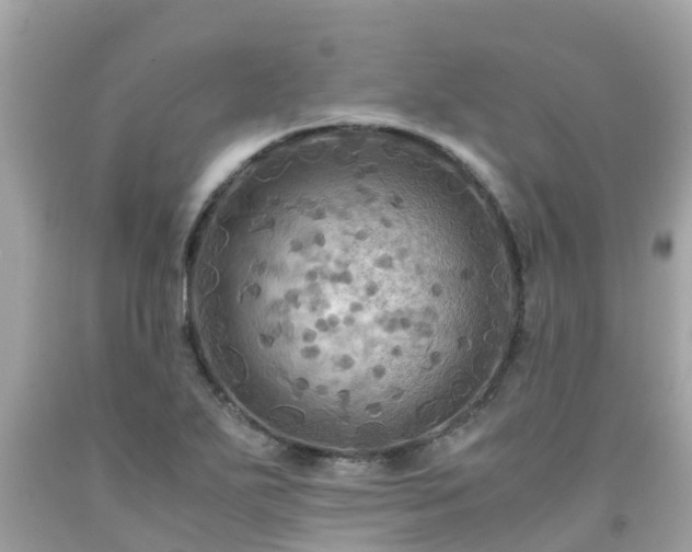 X0000092001271200709131507