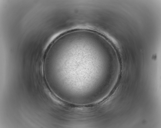 X0000092001272200709131507