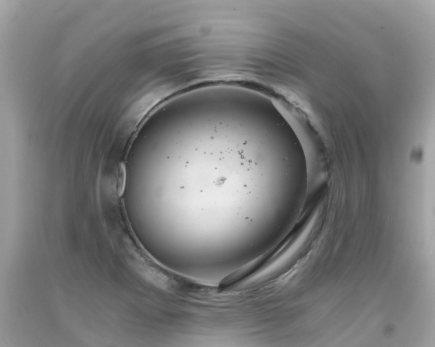 X0000092001273200709131507