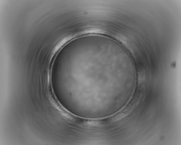 X0000092001274200709131507