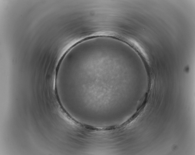 X0000092001276200709131507