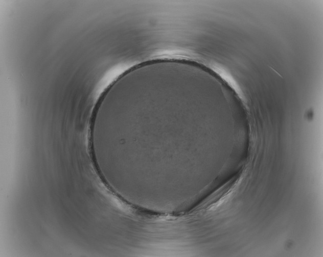 X0000092001277200709131507