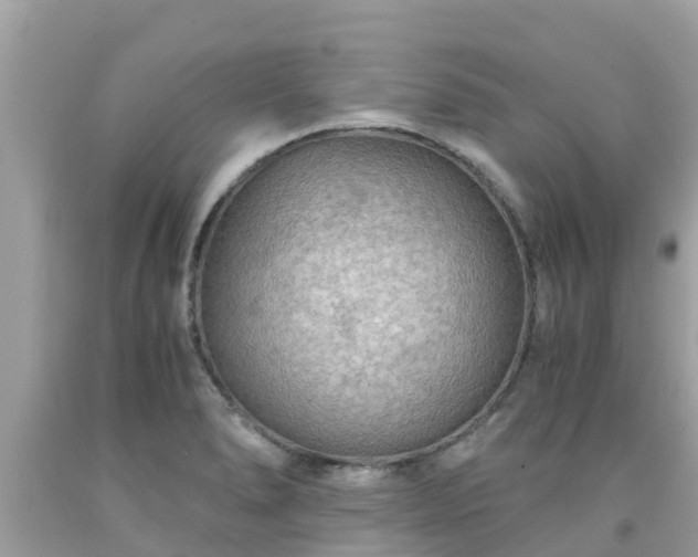 X0000092001278200709131507