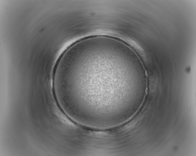 X0000092001280200709131507