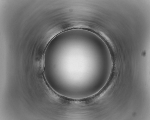 X0000092001281200709131507