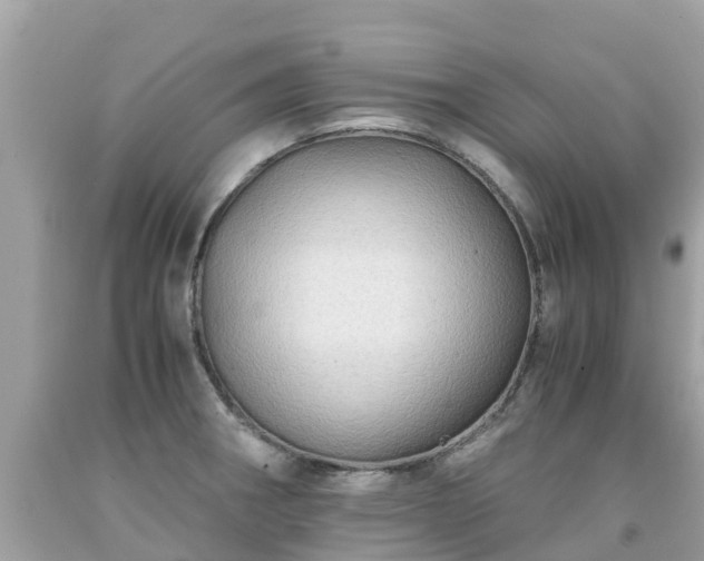 X0000092001282200709131507