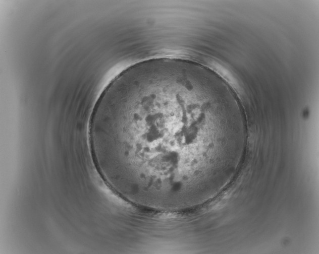 X0000092001283200709131507