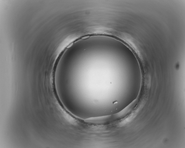 X0000092001285200709131507