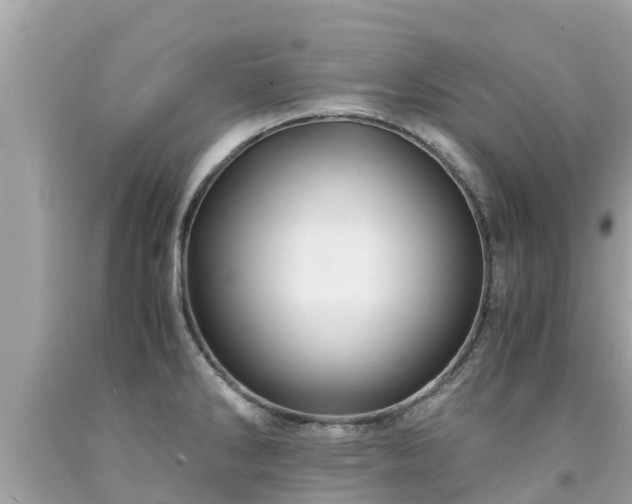 X0000092001286200709131507