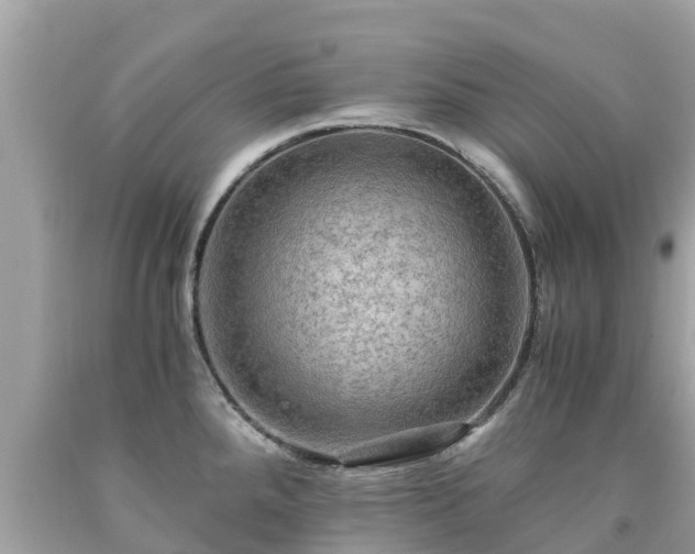 X0000092001288200709131507