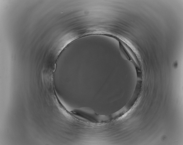 X0000092001289200709131507