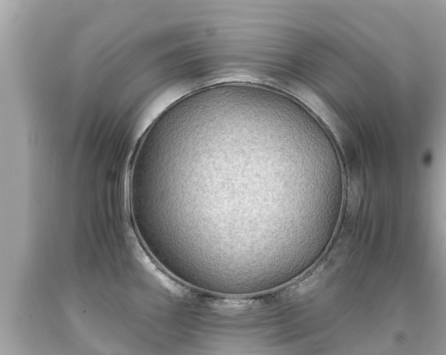 X0000092001290200709131507