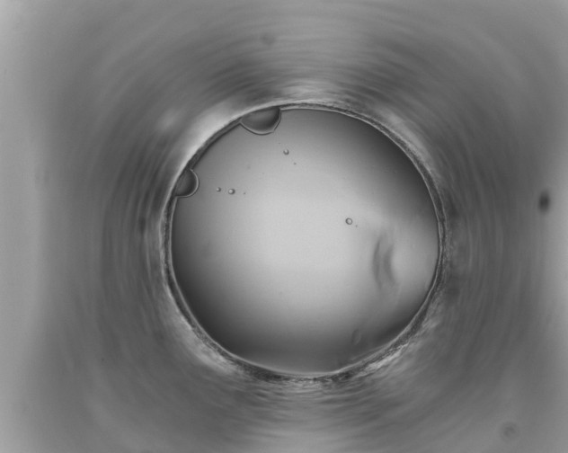 X0000092001291200709131507