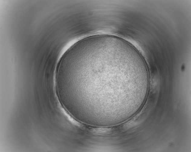 X0000092001294200709131507