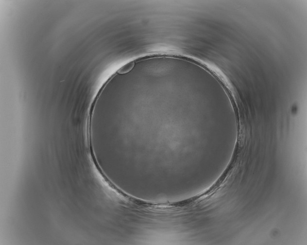 X0000092001295200709131507