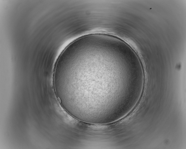 X0000092001296200709131507