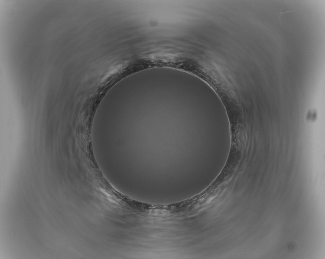 X0000092001297200709131506