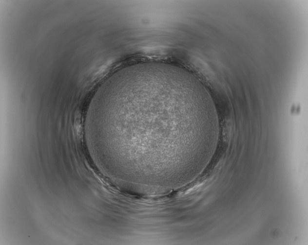 X0000092001298200709131506