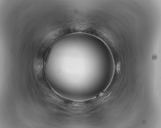 X0000092001299200709131506