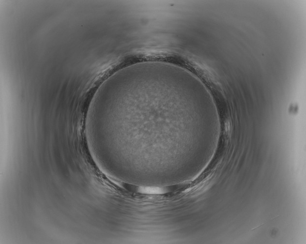 X0000092001300200709131506