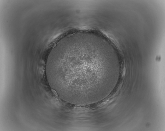 X0000092001301200709131506