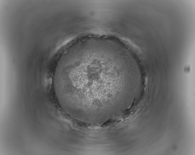 X0000092001302200709131506