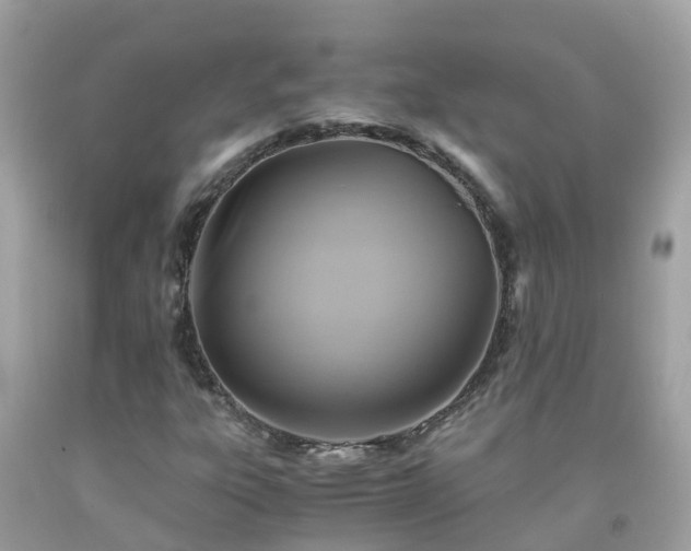 X0000092001303200709131506