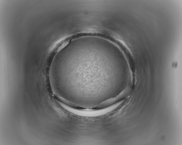 X0000092001304200709131506