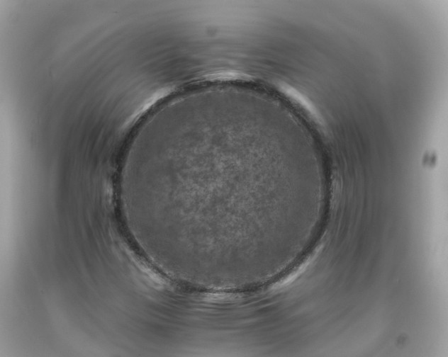 X0000092001305200709131506