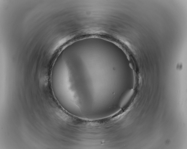 X0000092001306200709131506