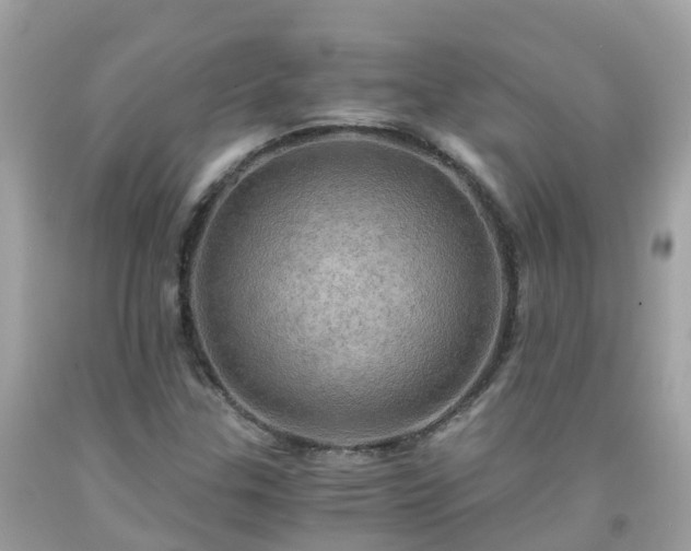 X0000092001307200709131506